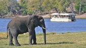 Vorschau: Beste Reisezeit Botswana